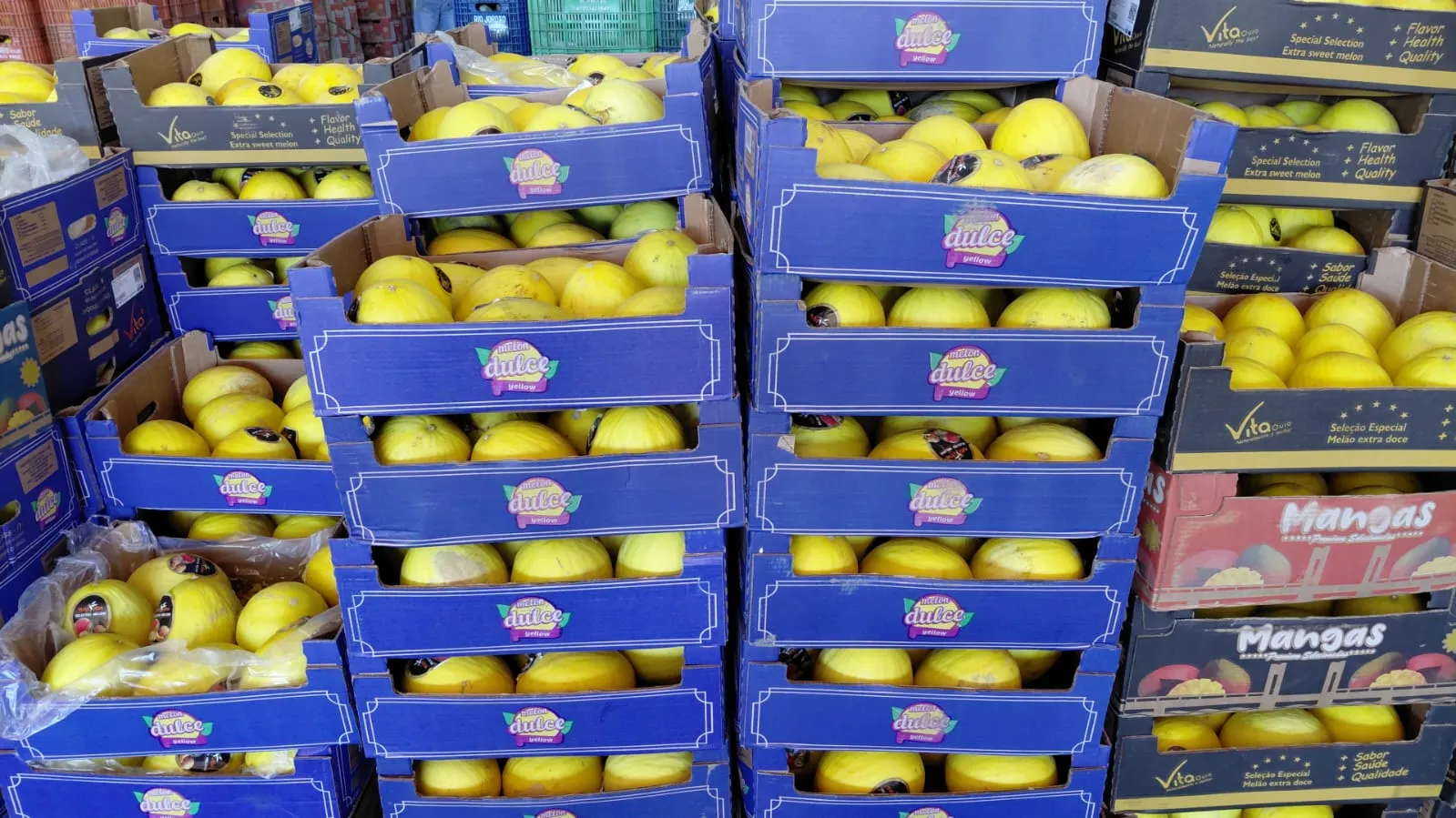 Produtos ATIVA